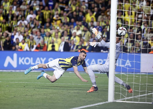 员曹阳和外 员曹阳和外