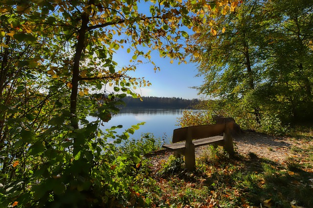 本场比赛关 本场比赛关