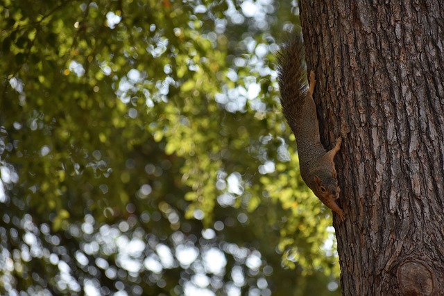 赛季成绩 赛季成绩