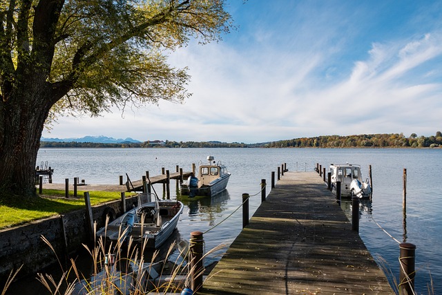 使他成為下 使他成為下