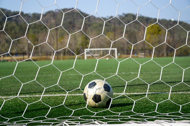 羽毛球价格 羽毛球价格