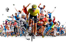 ISN首席执行员职位吃香 杨巧双：接获19份应征申请.