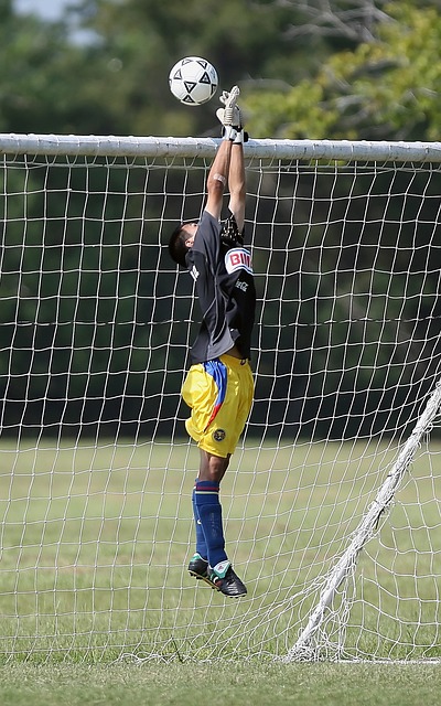 解说员的亮 解说员的亮